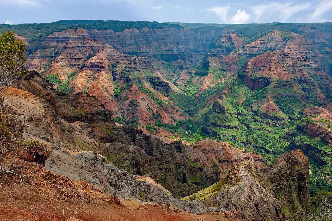  Waimea Canyon, Kauai, Hawaii 