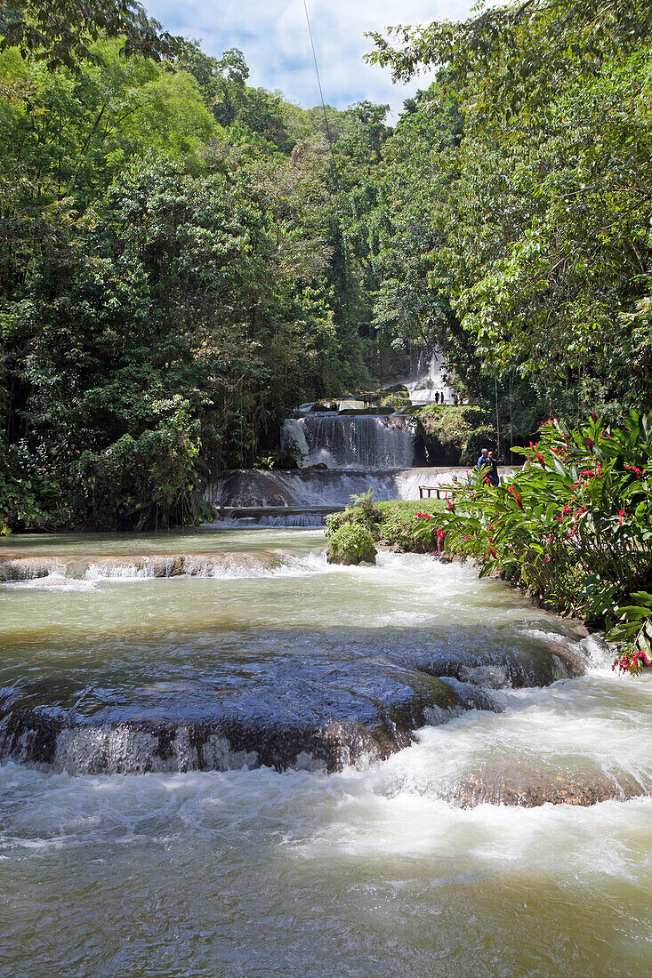  YS Falls, Saint Elizabeth Parish, Jamaica 