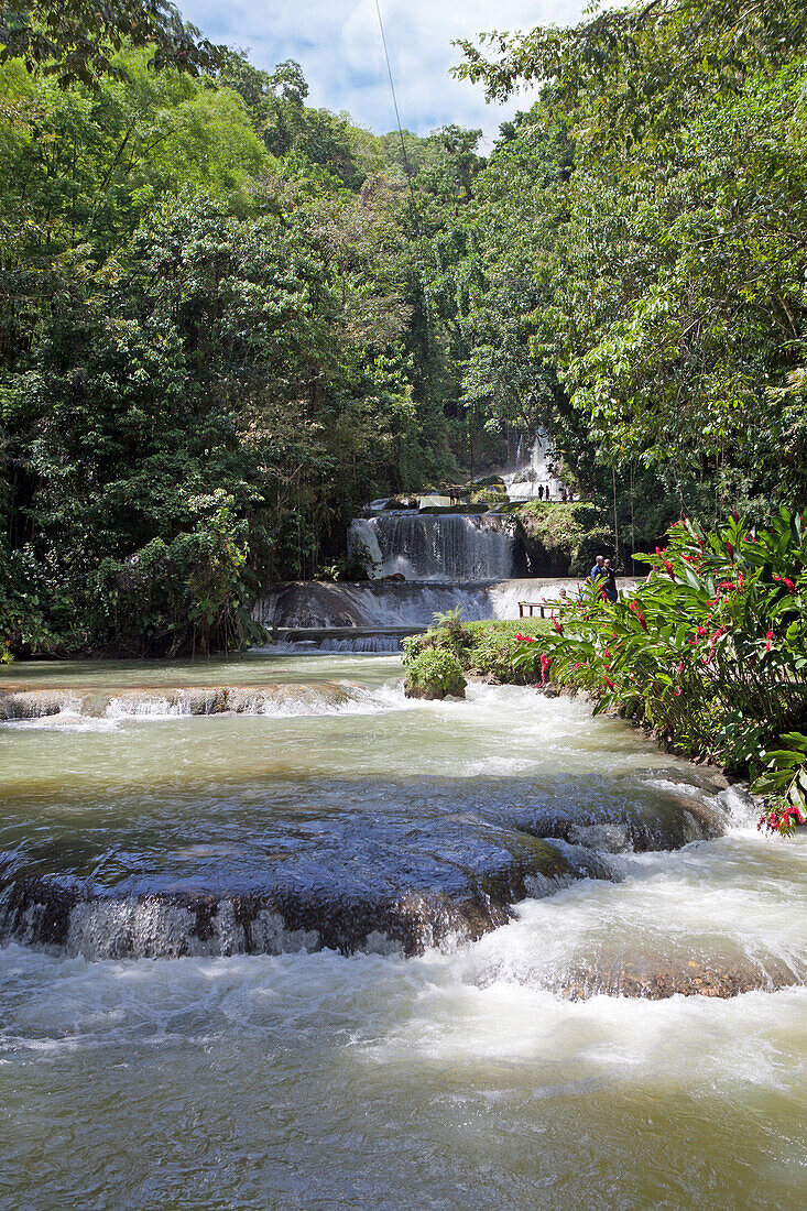 Wasserfälle YS-Falls, Saint Elizabeth Parish, Jamaika