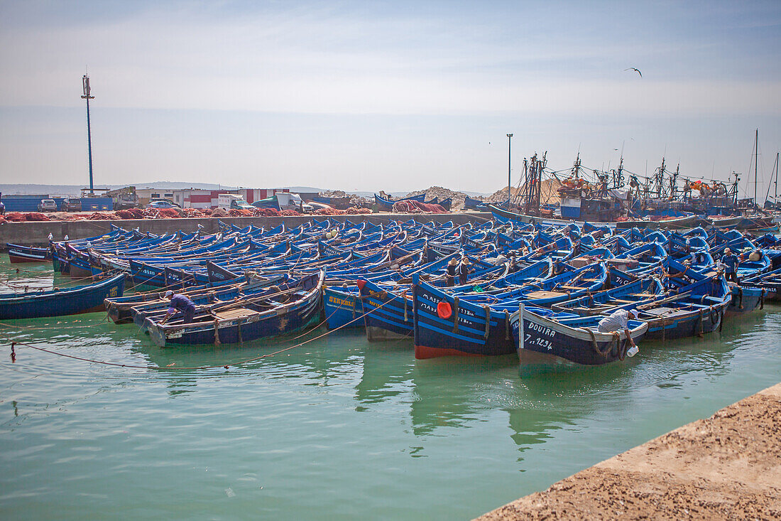 Fischerboote im Hafen von Essaouira, Essaouira, Marokko