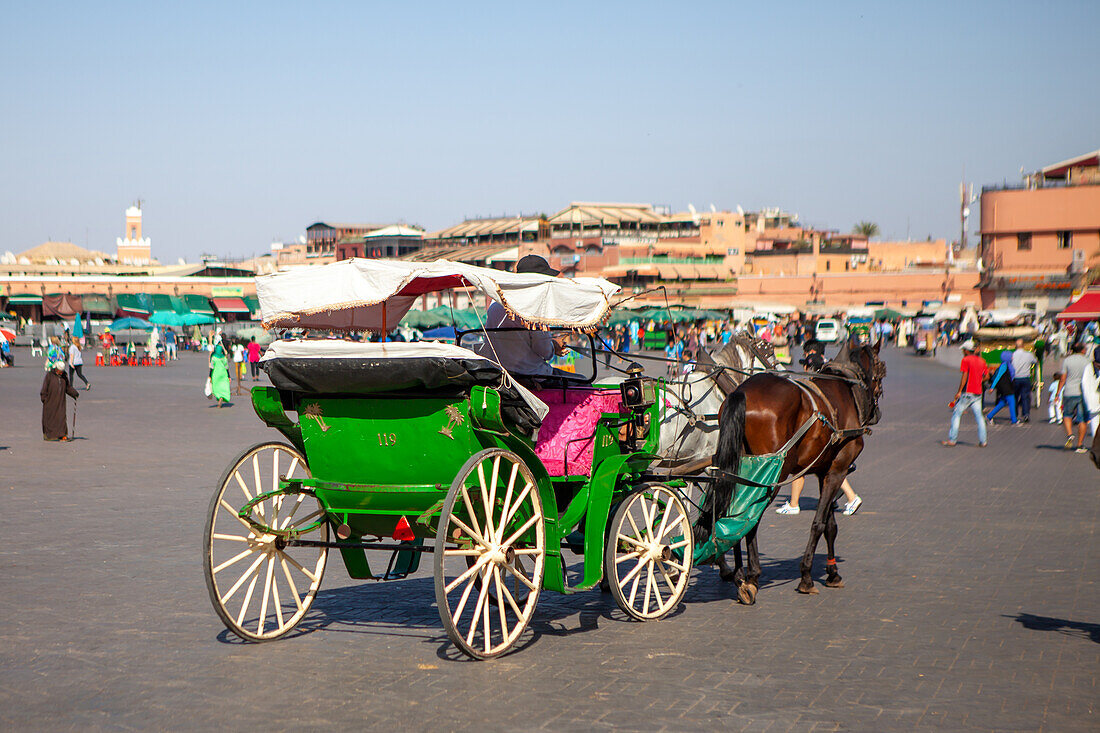  Droshky in Djemaa el-Fna (Square of the Hanged Men), Marrakesh, Morocco 