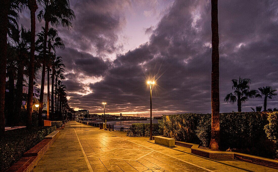 Promenade am Meer mit Palmen bei Sonnenaufgang, Marbella, Costa del Sol, Andalusien, Spanien