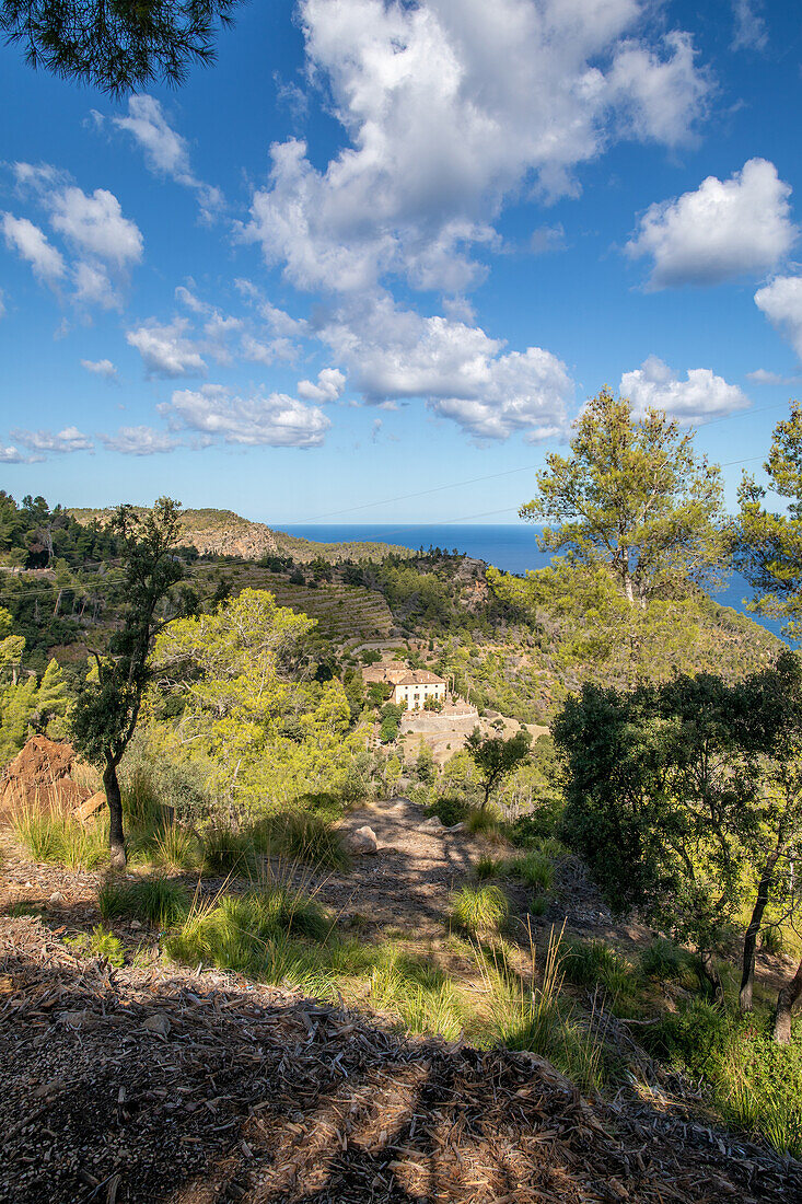 Tramuntana-Gebirge in der Nähe von Banyalbufar, Serra de Tramuntana, Mallorca, Balearen, Mittelmeer, Spanien