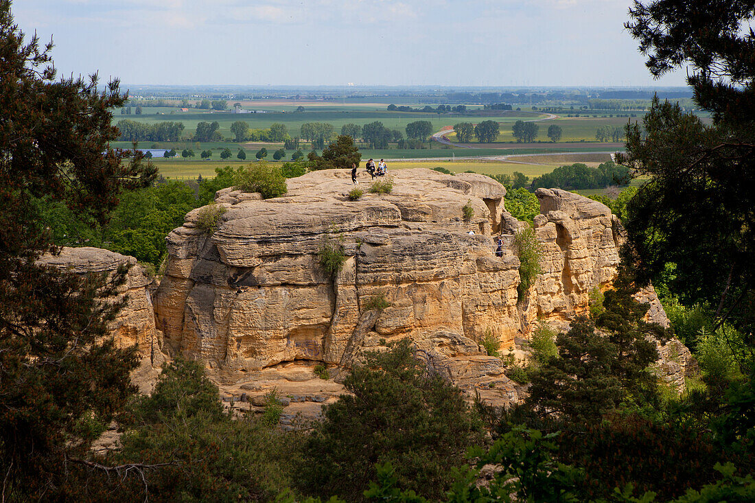  Klusfelsen, Halberstadt, Harz, Saxony-Anhalt, Germany 