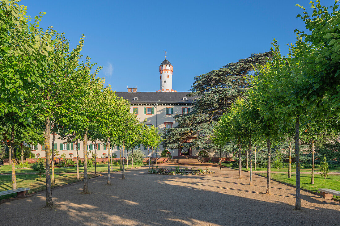  Castle park with white tower of Homburg Castle, Bad Homburg vor der Höhe, Taunus, Hesse, Germany 