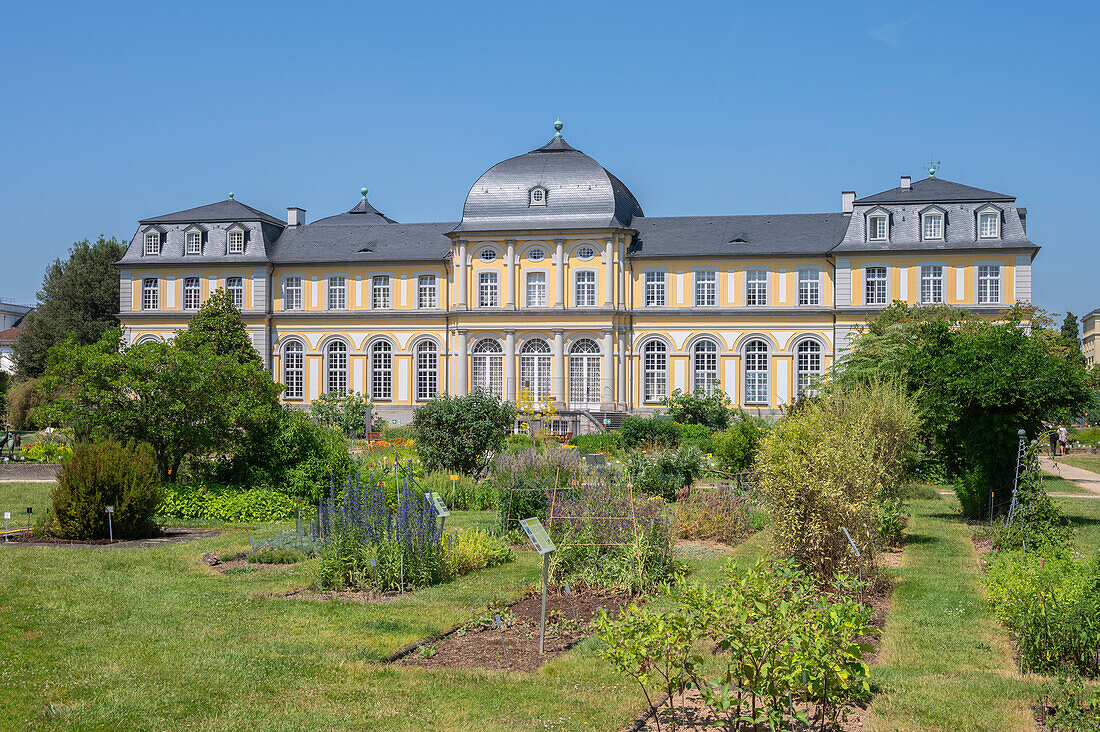  Poppelsdorf Castle in the Botanical Garden, Bonn, North Rhine-Westphalia, Germany 