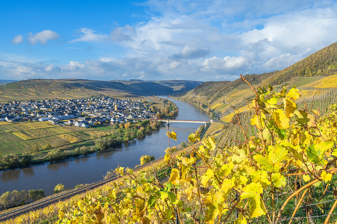 Blick auf Trittenheim, Mosel, Moseltal, Hunsrück, Eifel, Rheinland-Pfalz, Deutschland