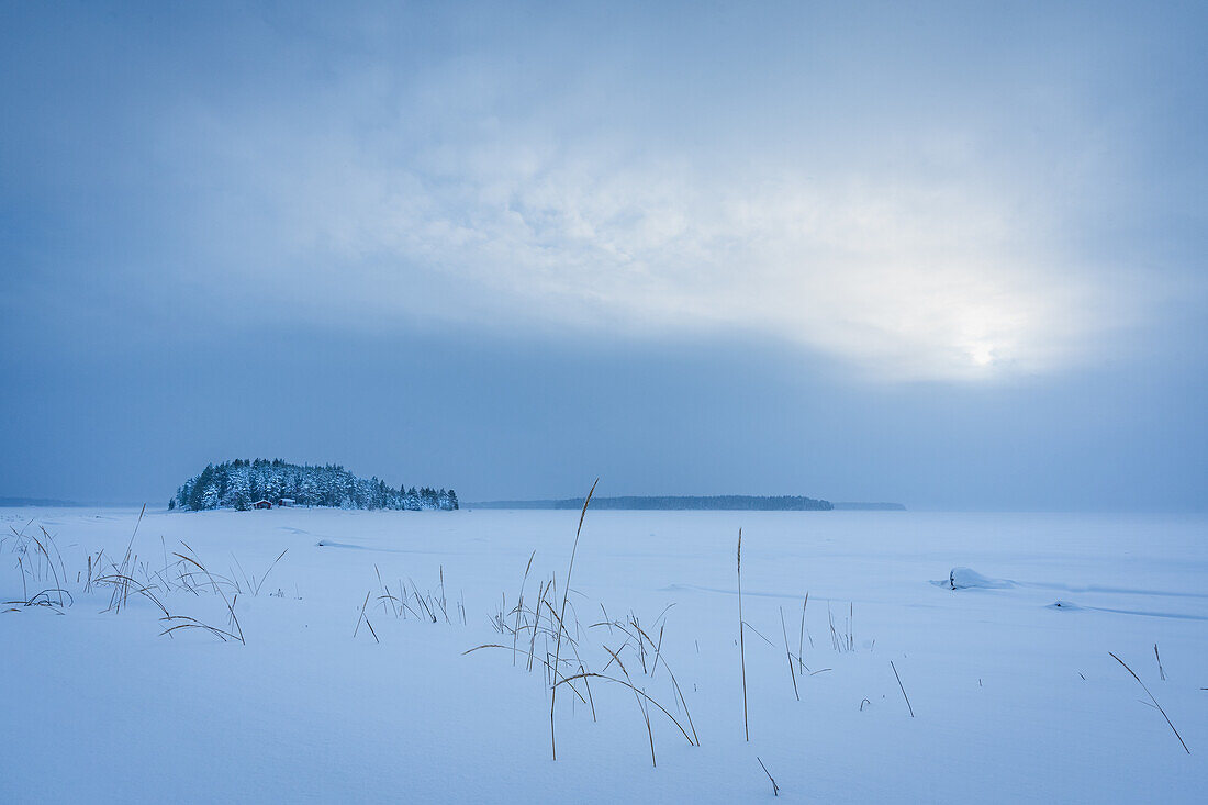 Winterlandschaft; Råneå, Norrbotten, Schweden