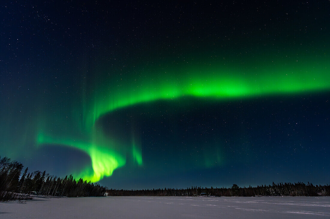 Nordlichter im Winter; Råneå, Norrbotten, Schweden