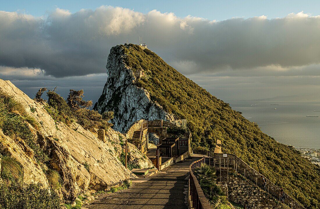 Fahrstraße im Upper Rock Nature Reserve mit Blick auf den Skywalk und den Felsen von Gibraltar im Abendlicht, Britische Kronkolonie, Iberische Halbinsel