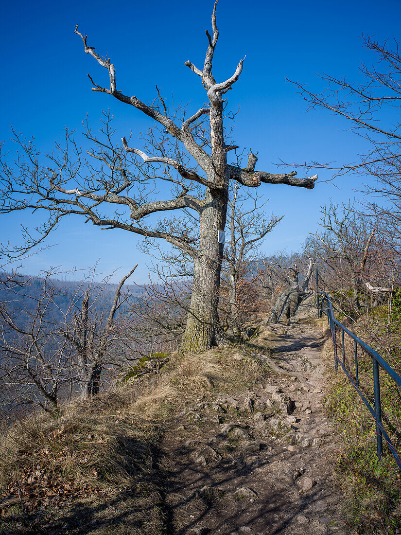  Hike to Ilsestein, Ilsetal, Ilsenburg, Harz, Saxony-Anhalt, Germany 