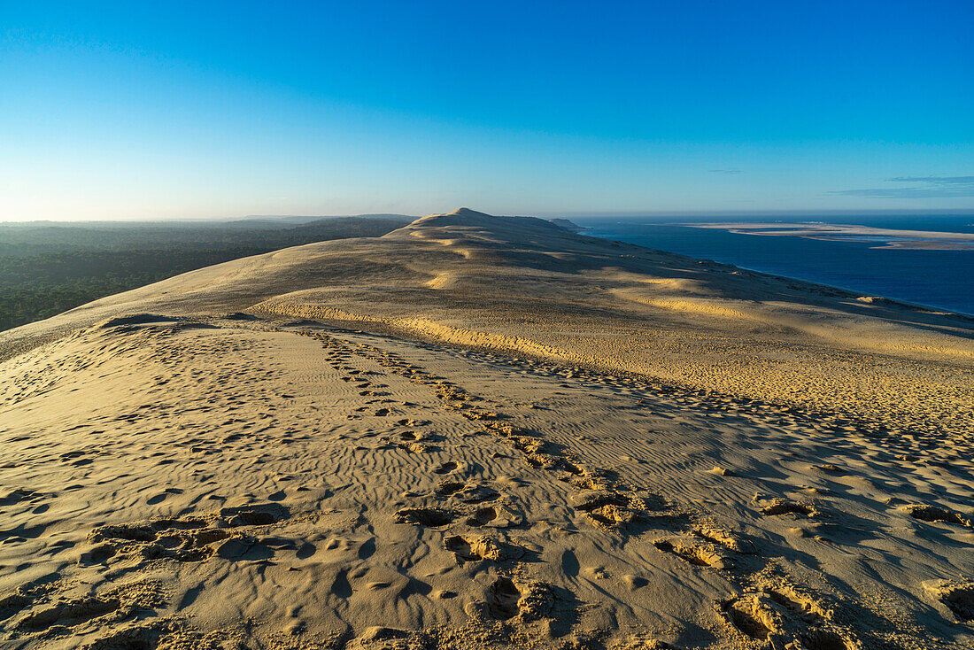 Riesige Sanddüne 'Dune du Pilat', bei Arcachon, Atlantikküste, Nouvelle-Aquitaine, Frankreich