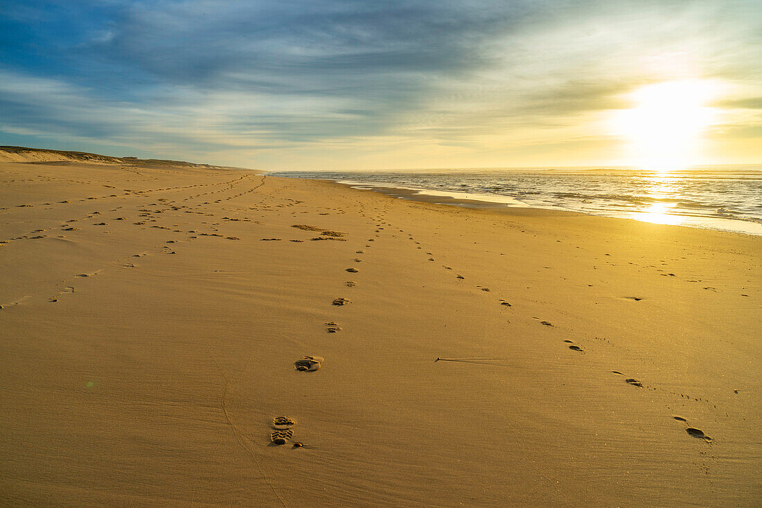 Spuren im Sand bei Sonnenuntergang, Strand an der Atlantikküste, West-Frankreich, Frankreich