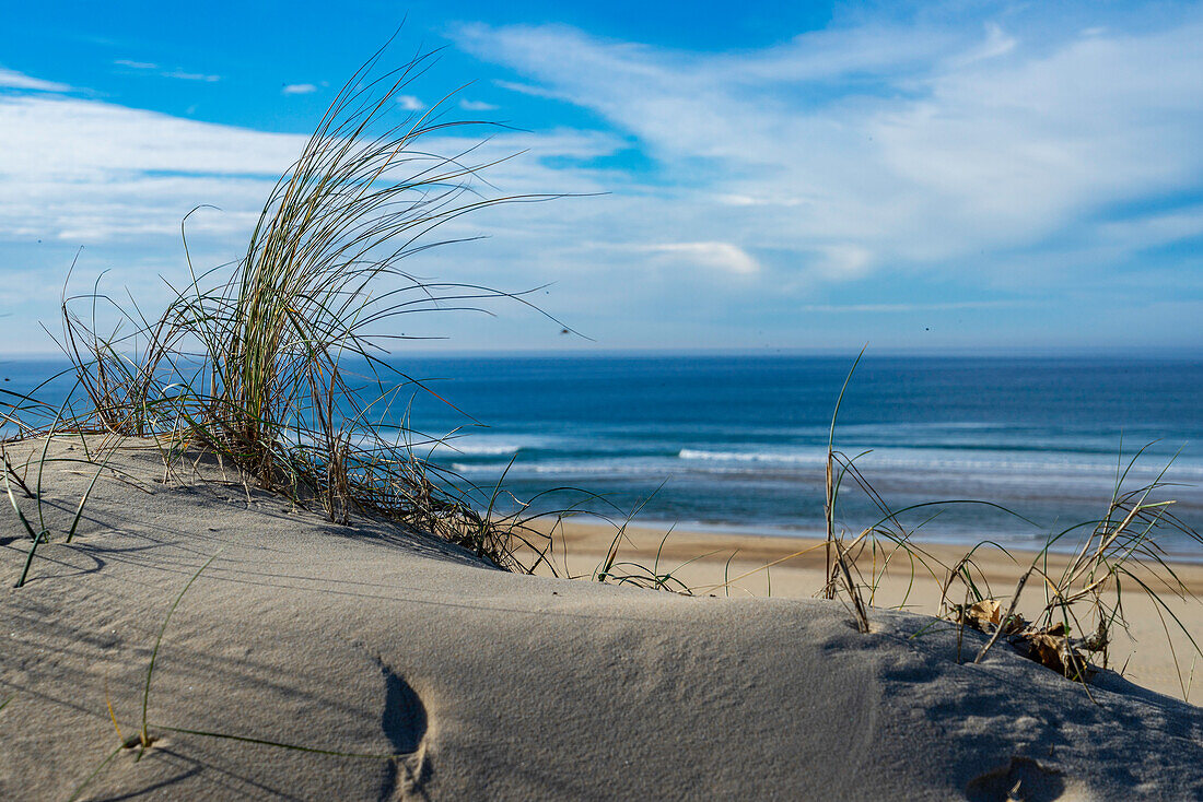 Sanddünen am Strand an der Atlantikküste, West-Frankreich, Frankreich