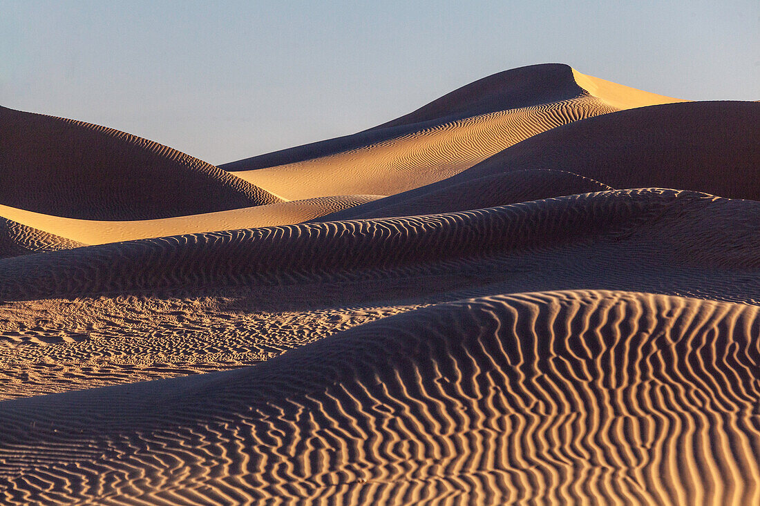Dünen mit Wellenmuster, Sanddünen in der Wüste Sahara im Sonnenuntergang, Dünenlandschaft, Marokko, Nordafrika
