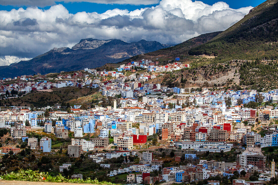 Blick auf die Stadt mit blauen Häusern, Chefchaouen, Region Tanger-Tétouan-Al Hoceïma, Marokko, Nordafrika