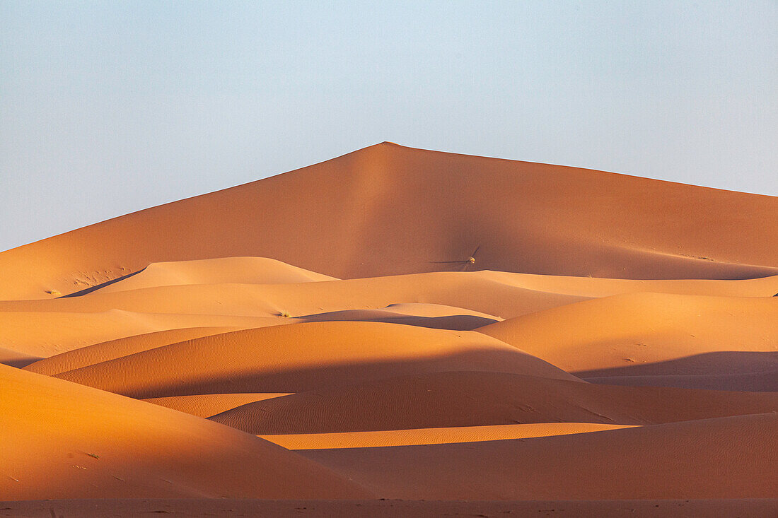 Rote Dünen in der Wüste Sahara im Sonnenuntergang, Dünenlandschaft,  Marokko, Nordafrika