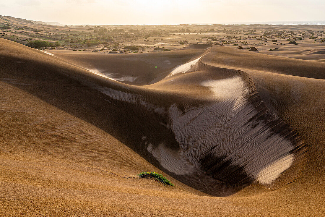  Morocco, desert, Plage blanche 