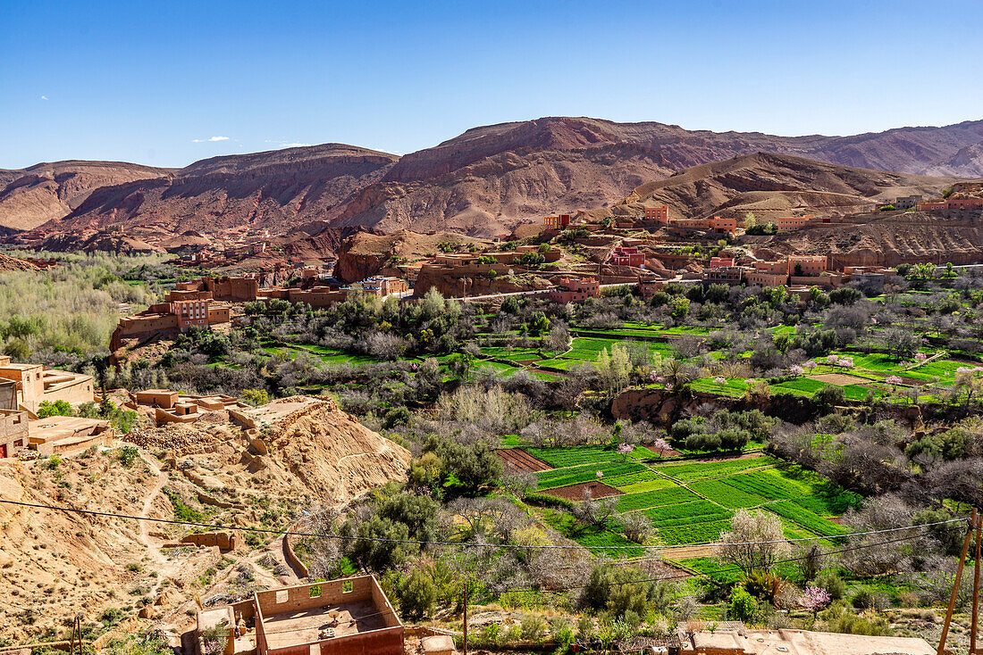 Dorf mit Feldern, im Atlasgebirge, Marokko, Nordafrika