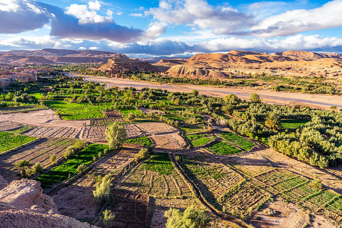 Felder bei Aït-Ben-Haddou, im Atlasgebirge, Provinz Ouarzazate, Marokko, Nordafrika