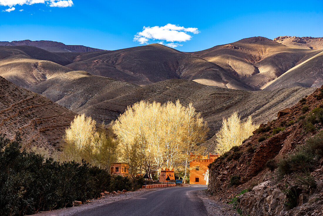  Morocco, houses with trees in hilly landscape 