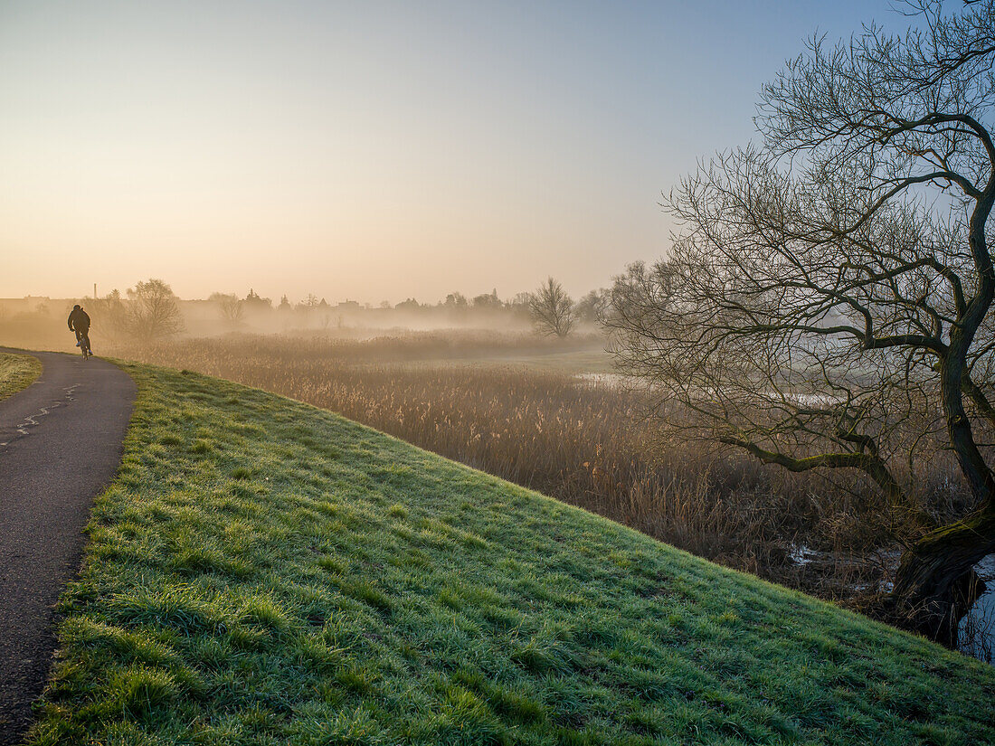  Elbe dike in Magdeburg-Cracau in the morning fog, Prester Lake, Old Elbe, Elbe, Magdeburg, Saxony-Anhalt, Central Germany, Germany, Europe 