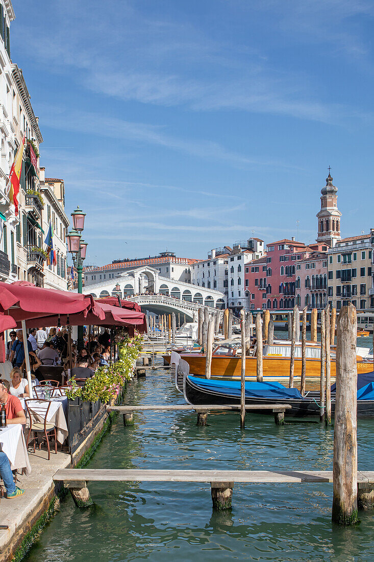  Grand Canal and Rialto Bridge, Venice, Veneto, Italy 