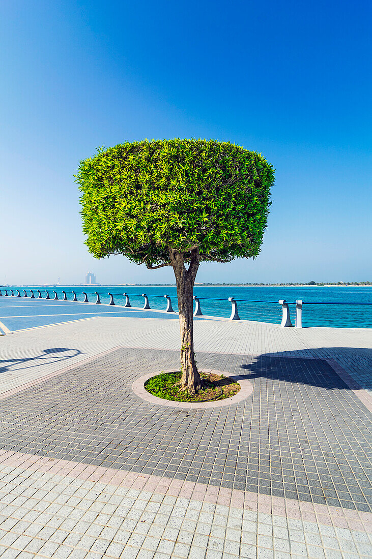  Promenade in Abu Dhabi, capital of the United Arab  