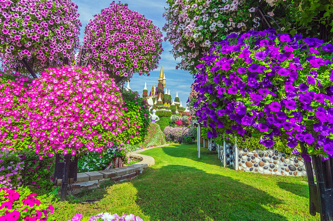 Petunienbäume vor Märchenschloss, Der Blumenpark 'Miracle Garden', Dubai, Vereinigte Arabische Emirate, Arabische Halbinsel, Naher Osten