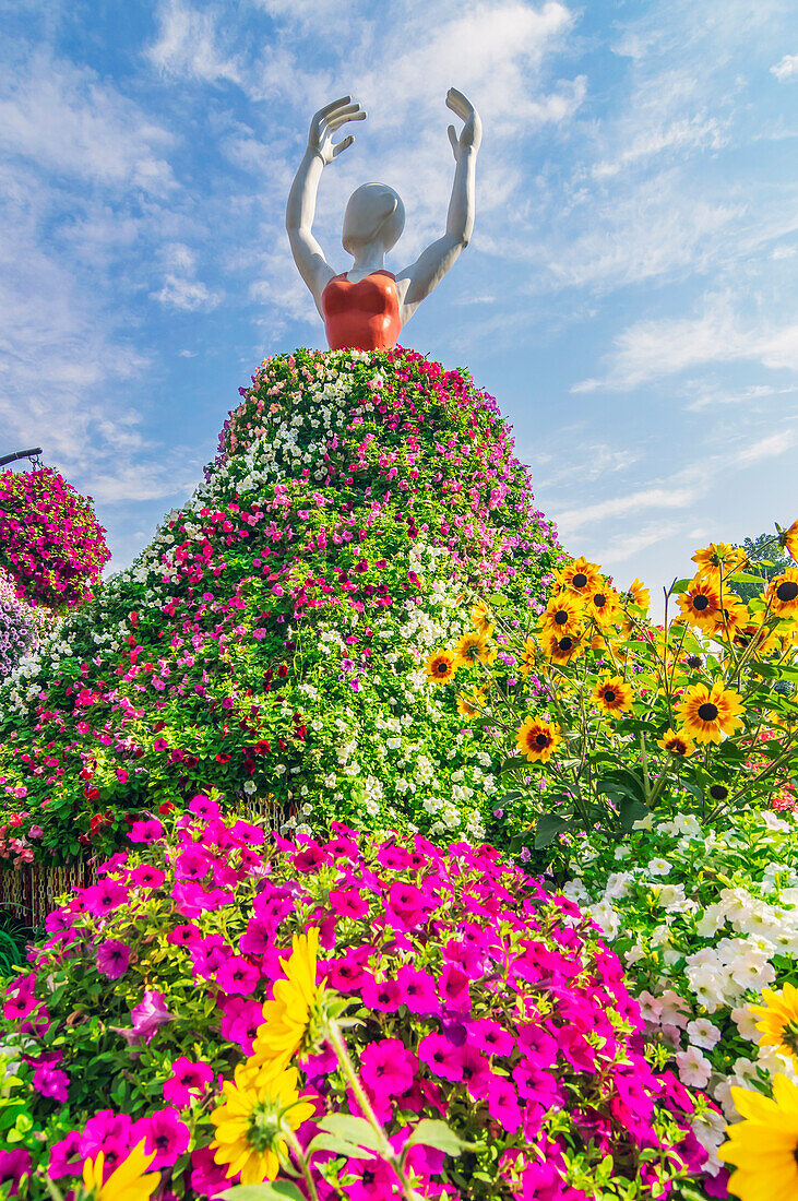  The Dubai Miracle Garden, colorful flower park, United Arab Emirates 