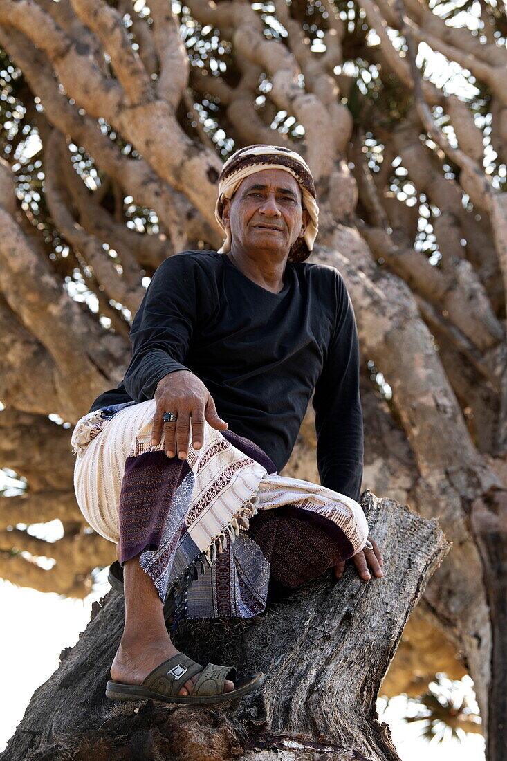 Einheimischer sitzt auf einem Sokotra-Drachenblutbaum (Dracaena cinnabari) auf dem Diksam-Plateau, Gallaba, Insel Sokotra, Jemen, Naher Osten