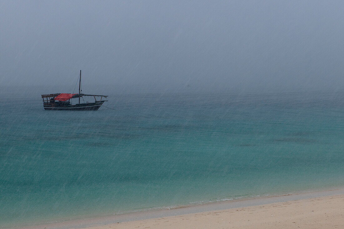  Traditional dhow sailboat anchored on the beach during downpour, near Stonetown, Zanzibar City, Zanzibar, Tanzania, Africa 