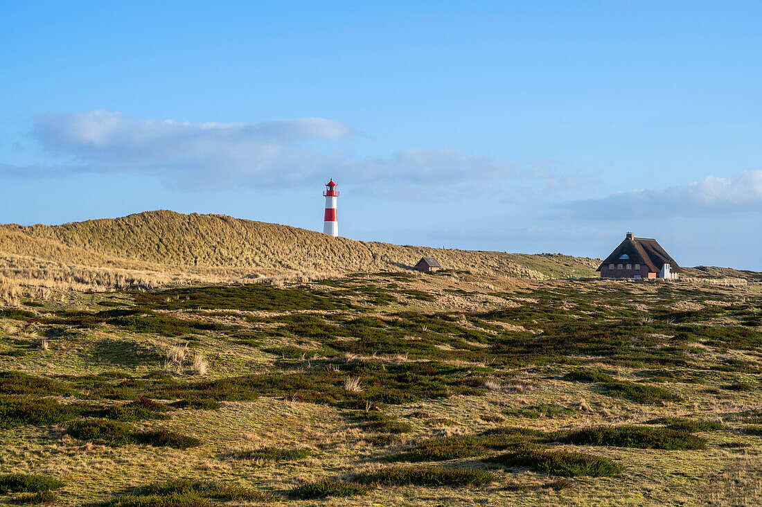  List-Ost lighthouse in winter, Sylt, Schleswig-Holstein, Germany 