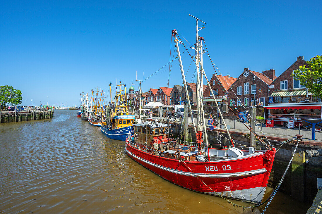  Fishing harbor with shrimp boats, Neuharlingersiel, East Frisia, Lower Saxony, Germany 