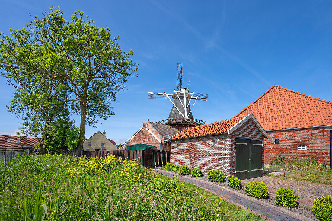  Rysum windmill, Krummhörn, East Frisia, Lower Saxony, Germany 