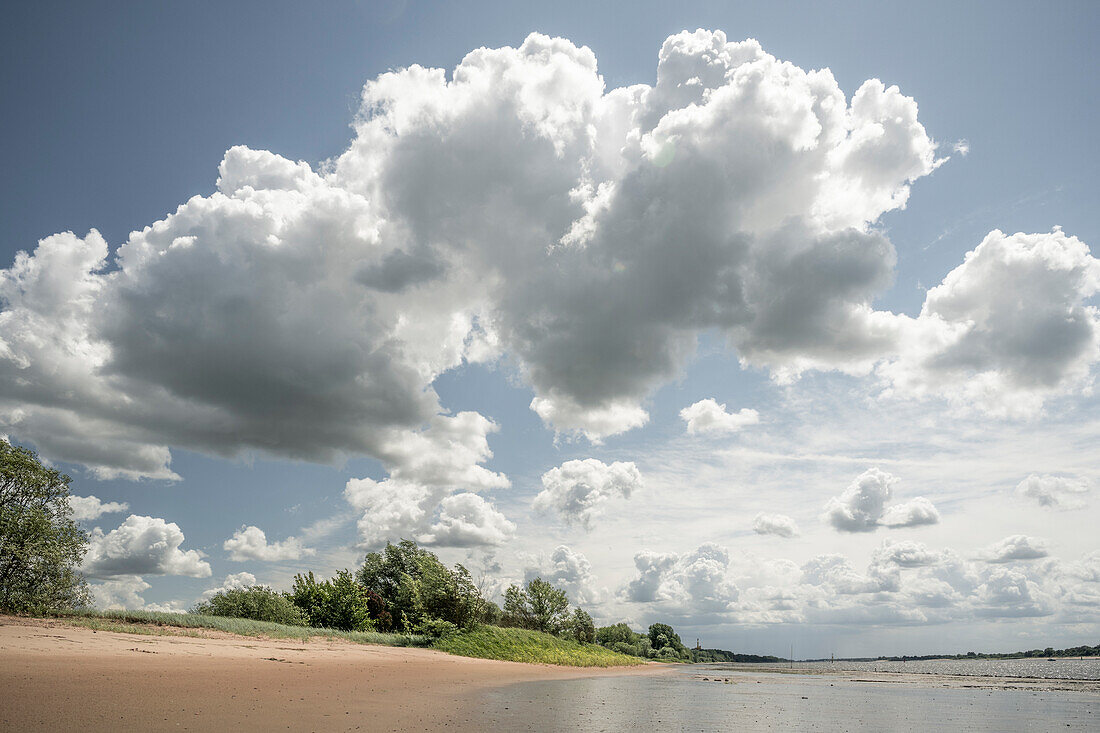  Beach on the river island of Harriersand, Unterweser, Schwanewede, Osterholz, Lower Saxony, Germany, Europe 