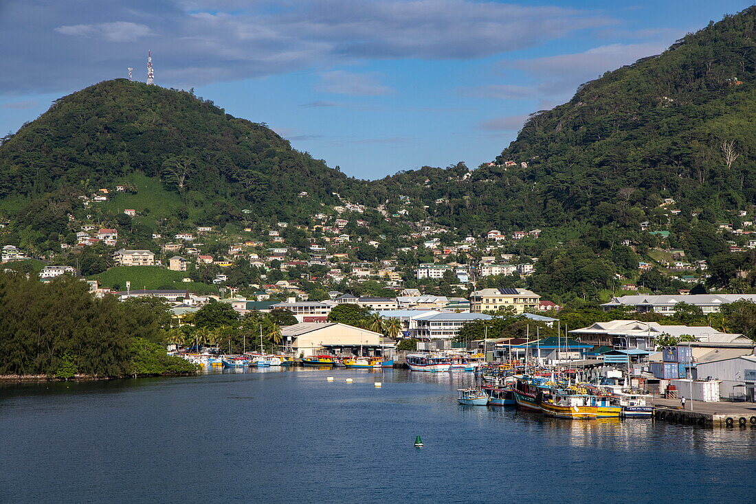  Fishing boats in the harbor and houses on the hillside, Victoria, Mahé Island, Seychelles, Indian Ocean 