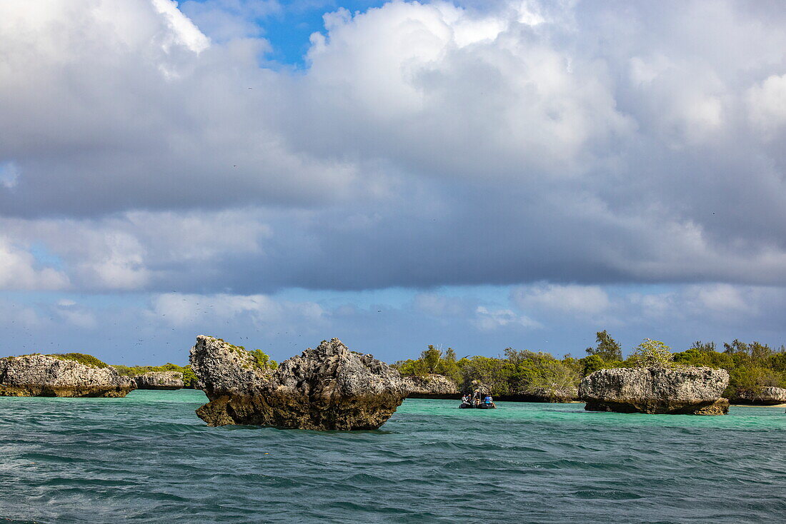  Excursion by motorized Zodiac inflatable boat from the expedition cruise ship SH Diana (Swan Hellenic) through the lagoon and along mangroves full of birds, Aldabra Atoll, Outer Seychelles, Seychelles, Indian Ocean 