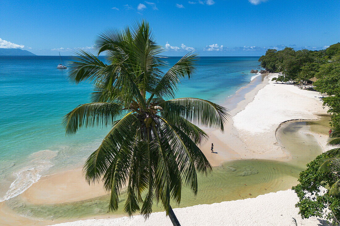 Luftaufnahme von Kokospalmen und Strand Beau Vallon Beach, Beau Vallon, Insel Mahé, Seychellen, Indischer Ozean