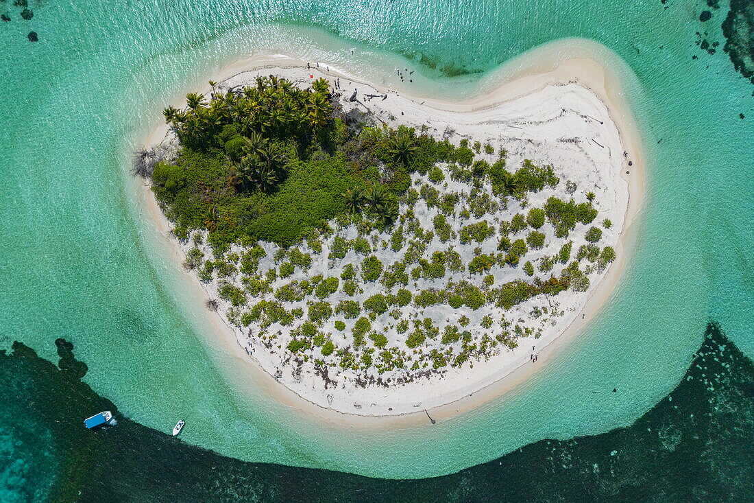  Aerial view of Bijoutier Island, Bijoutier Island, Alphonse Group, Outer Seychelles, Seychelles, Indian Ocean 