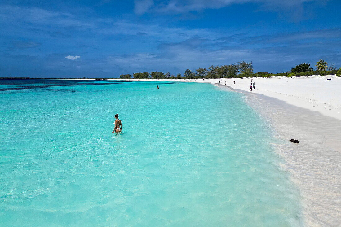  Aerial view of a woman walking in shallow water on the beach, Assumption Island, Outer Islands, Seychelles, Indian Ocean 