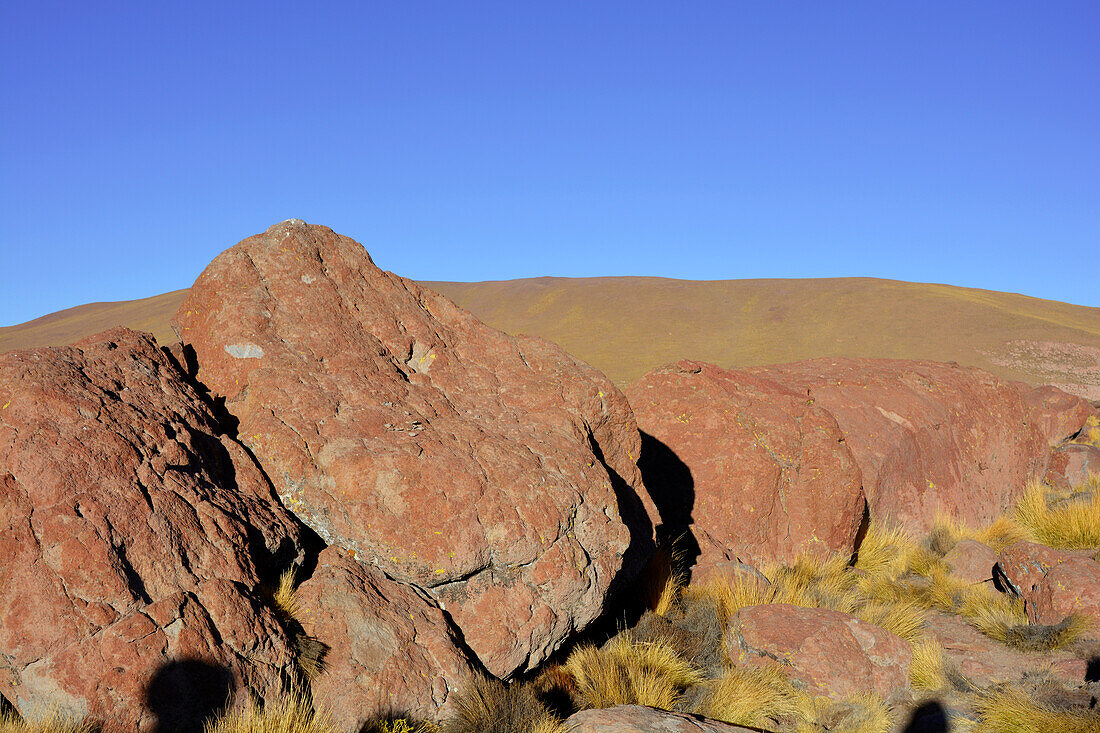  Chile; northern Chile; Antofagasta Region; Atacama Desert; Rock formation near Tatio volcano 