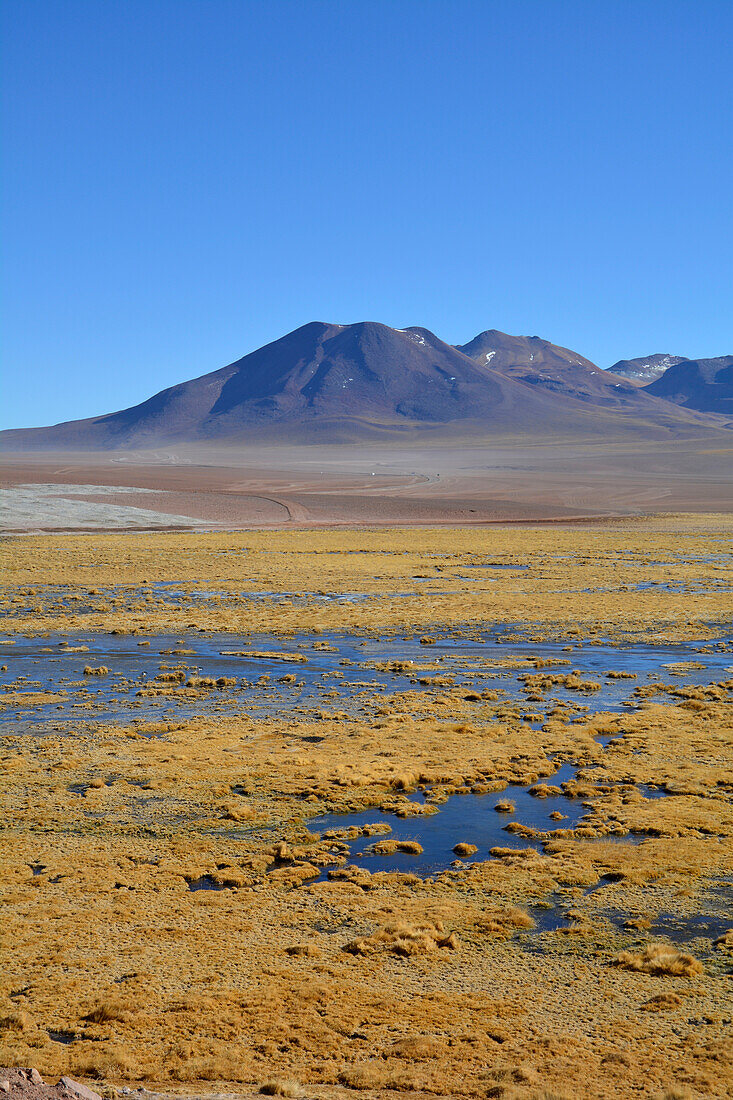  Chile; Northern Chile; Antofagasta Region; Atacama Desert; Landscape near the ford of the Rio Putana 