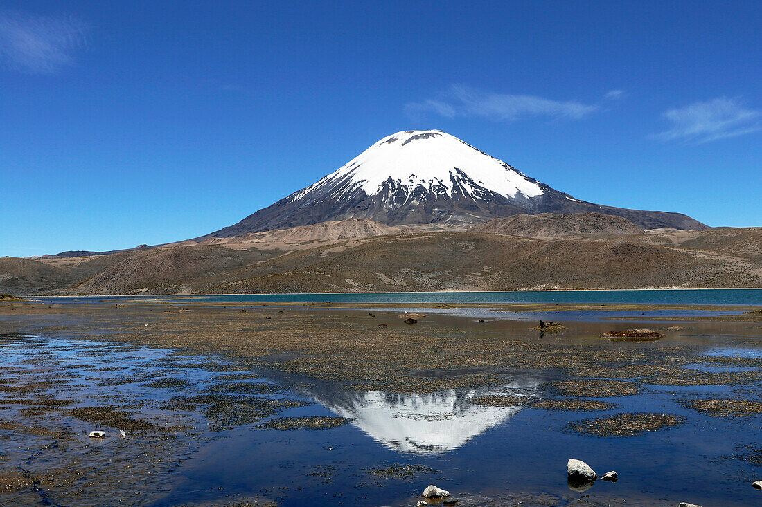  Chile; Northern Chile; Arica y Parinacota Region; on the border with Bolivia; Lauca National Park; Parinacota Volcano; reflected on the water surface of Lake Chungara 