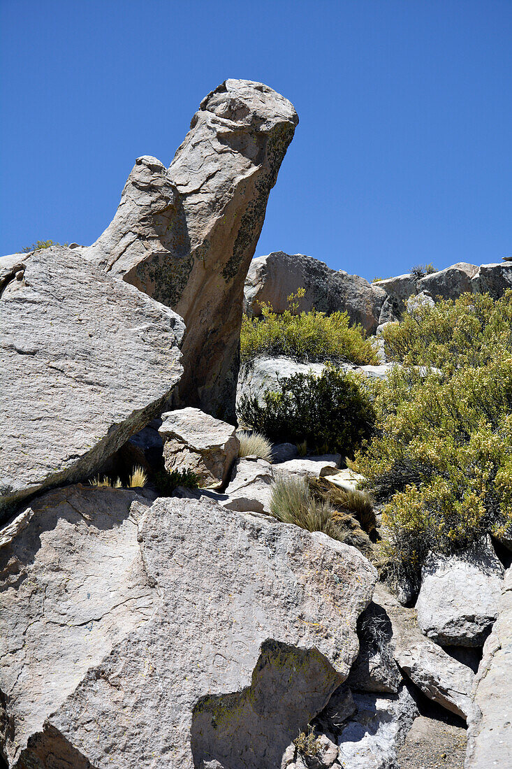 Chile; Nordchile; Region Arica y Parinacota; Lauca Nationalpark; bizarre Felsformationen