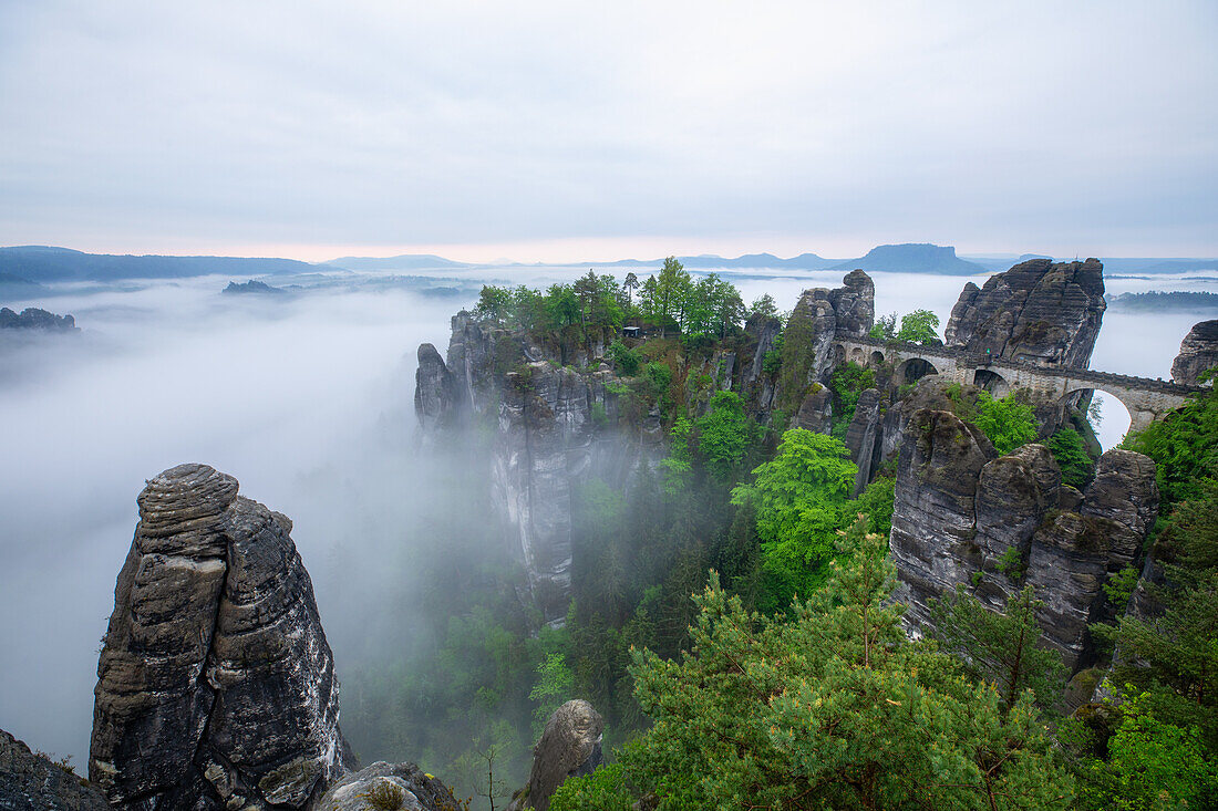 Früh morgens an der Bastei, Rathen, Sächsische Schweiz, Elbsandstein, Pirna, Sachsen, Deutschland, Europa