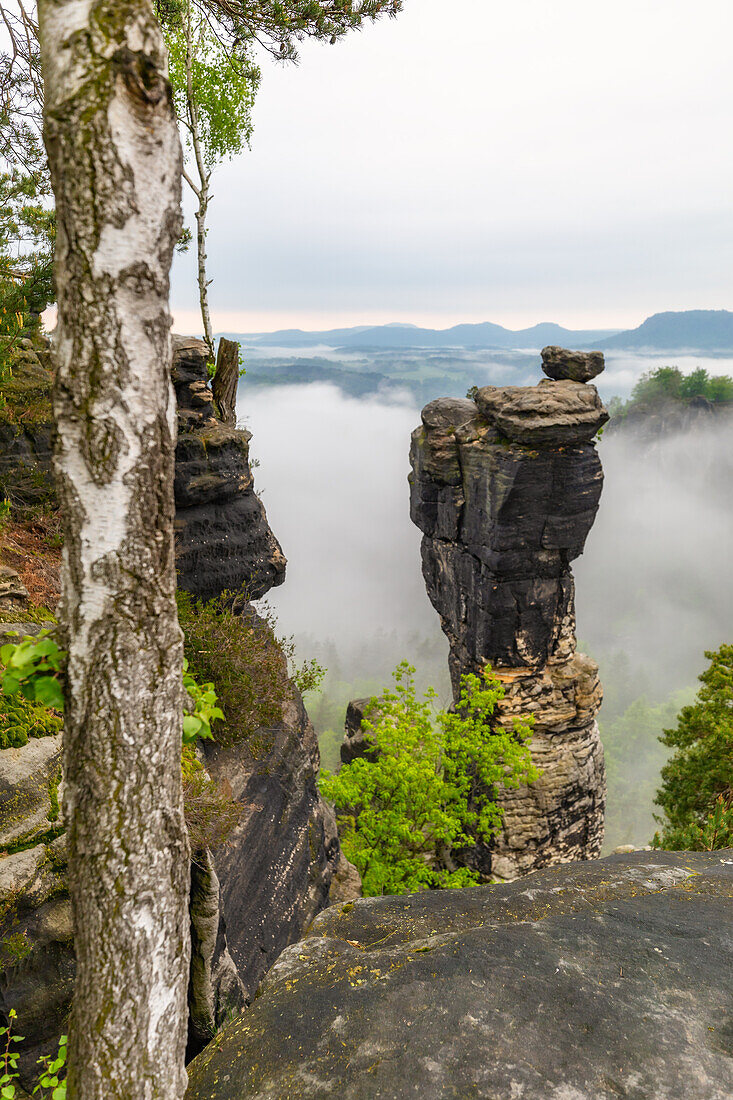  Early morning at the Bastei, Rathen, Saxon Switzerland, Elbe Sandstone, Pirna, Saxony, Germany, Europe 