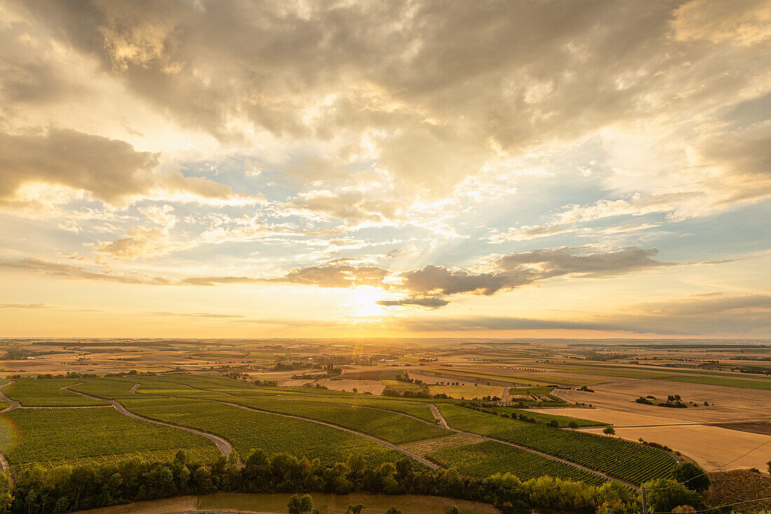 Sonnenuntergang am Tannenberg, Hüttenheim, Willanzheim, Kitzingen, Unterfranken, Franken, Bayern, Deutschland, Europa