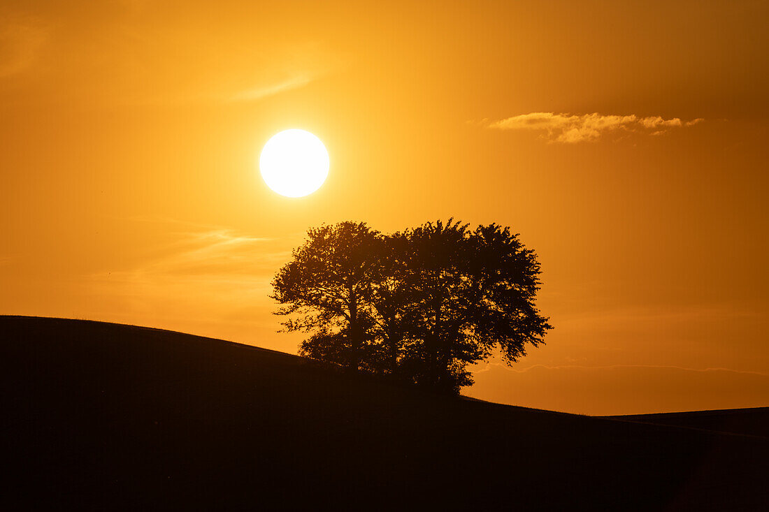 Sonnenuntergang auf der Holzwiese, Nenzenheim, Iphofen, Kitzingen, Unterfranken, Franken, Bayern, Deutschland, Europa