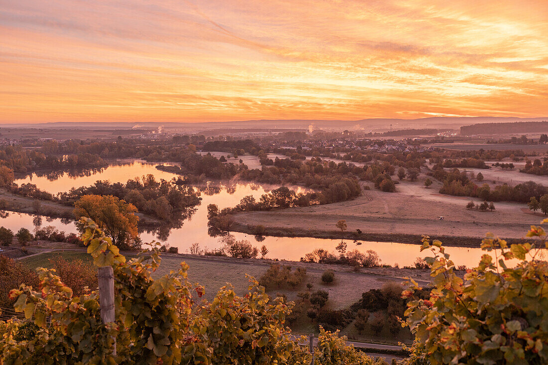 Morgendliche Stille im Maintal, Dettelbach, Kitzingen, Unterfranken, Franken, Bayern, Deutschland, Europa